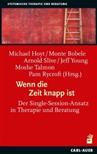 Monte Bobele, Michael Hoyt, Pam Rycroft, Arnold Slive, Arnold Slive u a, Moshe Talmon... - Wenn die Zeit knapp ist