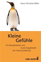 Hans-Christian Biller - Kleine Gefühle