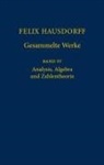 Felix Hausdorff, S. D. Chatterji, R Remmert, R. Remmert, Reinhold Remmert, W Scharlau... - Gesammelte Werke - 4: Analysis, Algebra und Zahlentheorie