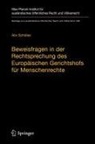 Alix Schlüter - Beweisfragen in der Rechtsprechung des Europäischen Gerichtshofs für Menschenrechte
