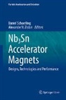 Daniel Schoerling, V Zlobin, Alexander V. Zlobin - Nb3Sn Accelerator Magnets