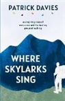 Patrick Davies - Where Skylarks Sing