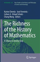Karine Chemla, Jos&eacute; Ferreir&oacute;s, Lizhen Ji, Lizhen Ji et al, Erhard Scholz, Chang Wang - The Richness of the History of Mathematics