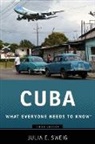 Julia Sweig, Julia (Research Fellow Sweig, Julia E Sweig, Julia E. Sweig, Sweig Julia - Cuba