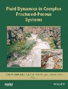 Boris Benson Faybishenko, Sally M Benson, Sally M. Benson, Benson Sally M., John E Gale, Boris Faybishenko... - Fluid Dynamics in Complex Fractured-Porous Systems
