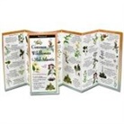 Michael Homoya, Michael Digiorgio - Common Wildflowers of the Mid-Atlantic