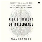 Max Solomon Bennett, George Newbern - A Brief History of Intelligence (Audio book)