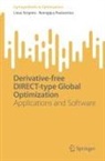 Remigijus Paulavi¿ius, Remigijus Paulavicius, Linas Stripinis - Derivative-free DIRECT-type Global Optimization