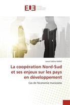 Jamal Eddine Naimi - La coopération Nord-Sud et ses enjeux sur les pays en développement
