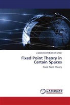 Laisom Sharmeswar Singh - Fixed Point Theory in Certain Spaces