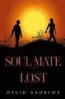David Andrews - Soul Mate Lost