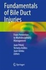 Victoria Ardiles, Juan Glinka, Juan Pekolj - Fundamentals of Bile Duct Injuries