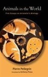 Pierre Pellegrin, Pellegrin Pierre - Animals in the World