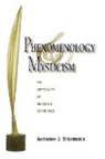 Anthony J Steinbock, Anthony J. Steinbock - Phenomenology and Mysticism