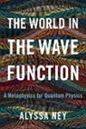 Alyssa Ney, Alyssa (Professor of Philosophy Ney, Ney Alyssa - World in the Wave Function