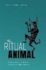 Harvey Whitehouse, Harvey (Chair of Social Anthropology Whitehouse, Whitehouse Harvey - Ritual Animal