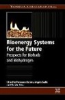 Francesco (Chemistry Department Dalena, Angelo Basile, Basile Angelo, Francesco Dalena, Dalena Francesco, Claudio Rossi... - Bioenergy Systems for the Future