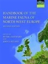 P. J.; RYLA HAYWARD, Peter J. Hayward, Peter J. Ryland Hayward, John S. Ryland, Peter J Hayward, Peter J. Hayward... - Handbook of the Marine Fauna of North-West Europe
