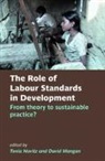 Tonia (Professor of Labour Law Novitz, David Mangan, Mangan David, Tonia Novitz, Novitz Tonia - Role of Labour Standards in Development