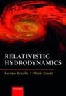 Luciano Rezzolla, Luciano (Institute for Theoretical Physi Rezzolla, Luciano (Institute for Theoretical Physics Rezzolla, Olindo Zanotti, Olindo (Research Associate Zanotti, Zanotti Olindo - Relativistic Hydrodynamics