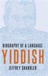 Jeffrey Shandler, Jeffrey (Distinguished Professor of Jewi Shandler, Shandler Jeffrey - Yiddish