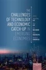 Jeong-Dong (Professor of the Interdisciplinar Lee, Jeong-Dong Lee, Keun Lee, Lee Jeong-Dong, Lee Keun, Dirk Meissner... - Challenges of Technology and Economic Catch-Up in Emerging Economies