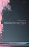 Mircea (Professor of Philosophy Dumitru, Mircea Dumitru - Metaphysics, Meaning, and Modality