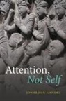 Jonardon Ganeri, Jonardon (Professor of Philosophy Ganeri - Attention, Not Self