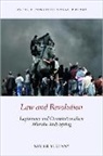 Nimer Sultany, Nimer (Senior Lecturer in Public Law Sultany - Law and Revolution