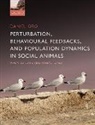 Daniel Oro, Daniel (Professor of Research Oro - Perturbation, Behavioural Feedbacks, Population Dynamics in Social