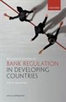 Emily (Associate Professor in Public Policy Jones, Emily Jones, Jones Emily - Political Economy of Bank Regulation in Developing Countries: Risk