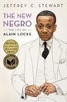Jeffrey C. Stewart, Jeffrey C. (Professor of Black Studies Stewart - New Negro