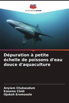 Ezeama Chidi, Anyiam Chukwudum, Ojokoh Eromosele - Dépuration à petite échelle de poissons d'eau douce d'aquaculture