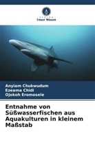 Ezeama Chidi, Anyiam Chukwudum, Ojokoh Eromosele - Entnahme von Süßwasserfischen aus Aquakulturen in kleinem Maßstab