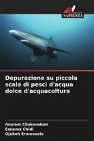 Ezeama Chidi, Anyiam Chukwudum, Ojokoh Eromosele - Depurazione su piccola scala di pesci d'acqua dolce d'acquacoltura