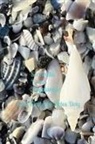 Lady Kimberly Motes Doty - Seashells
