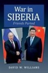 David W Williams - War in Siberia