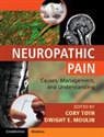 Cory Moulin Toth, Dwight Moulin, Dwight E. Moulin, Moulin Dwight E., Cory Toth, Toth Cory - Neuropathic Pain