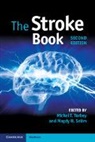 Michel T. (Ohio State University) Selim Torbey, Magdy H Selim, Magdy H. Selim, Selim Magdy H., Michel T Torbey, Michel T. Torbey... - Stroke Book