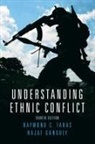 Rajat Ganguly, Raymond Taras, Raymond Ganguly Taras - Understanding Ethnic Conflict