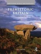Timothy Darvill, Timothy (University of Bournemouth Darvill, Darvill Timothy - Prehistoric Britain