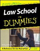 Rebecca Greene, Rebecca Fae Greene, Greene Rebecca - Law School for Dummies