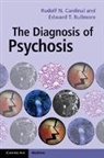 Edward Bullmore, Edward T Bullmore, Edward T. (University of Cambridge) Bullmore, Bullmore Edward T., Rudolf N Cardinal, Rudolf N. Cardinal... - Diagnosis of Psychosis