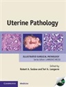 Teri A. Longacre, Longacre Teri A., Robert A. Soslow, Soslow Robert A. - Uterine Pathology