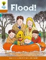 Roderick Hunt, Alex Brychta - Oxford Reading Tree: Level 8: More Stories: Flood!