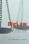Mitt Regan, Mitt Rohrer Regan, Lisa H. Rohrer - Biglaw