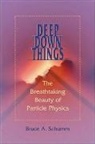 Bruce A Schumm, Bruce A. Schumm, Bruce A. (Professor of Physics Schumm - Deep Down Things
