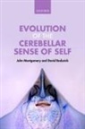 David Bodznick, David (Professor at Wesleyan University Bodznick, Bodznick David, John Montgomery, John (Professor At the University of A Montgomery, John (Professor at the University of Auckland Montgomery - Evolution of the Cerebellar Sense of Self