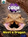 Claire Llewellyn, Llewellyn Claire - Project X Code Extra: Light Blue Book Band, Oxford Level 4: Dragon