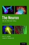 Leonard K. (Professor Kaczmarek, Kaczmarek Leonard K., Irwin B. (Founding Chair of the Departmen Levitan, Irwin B. (Founding Chair of the Department of Neuroscience Levitan, Levitan Irwin B. - Neuron